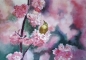 Preview: Aquarell-zauber - Grundkurs ab 7.5.25