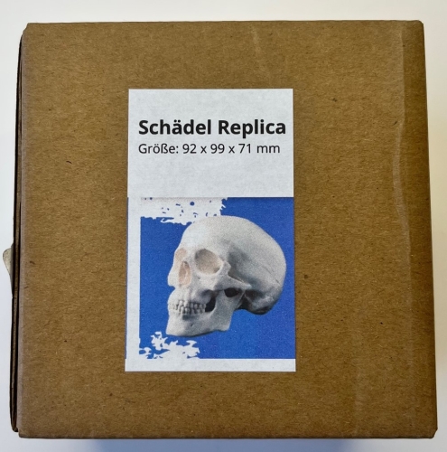 Schädel "Replica" zum besprühen