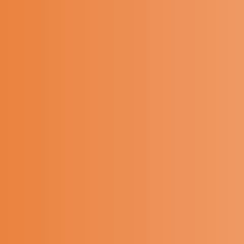 Vallejo Liquid Acrylic 32 ml ,  burnt orange 819 (GP 1L=155,94€)