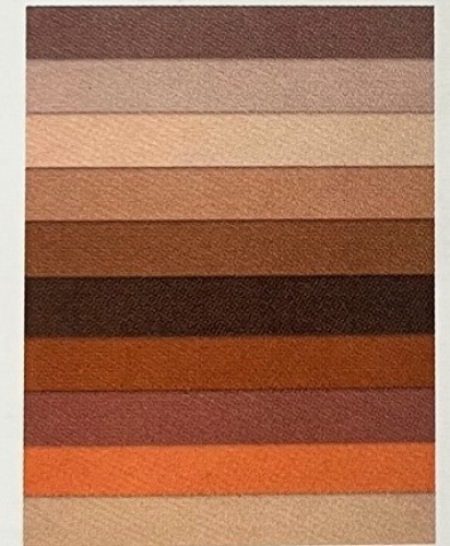 Preview: Canson Mi-Teintes Pastellpapier Bögen 50x65 cm, 160g/m² (10 Blatt) mehrfarbig , braun Töne