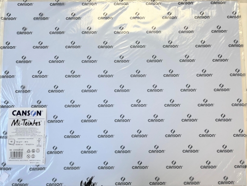 Canson Mi-Teintes pastel paper sheets 50x65 cm, 160g/m² (10 sheets) cool tones