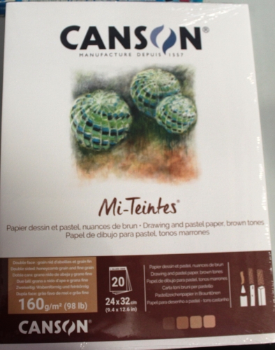 Canson Mi-Teintes Baumwoll Papier 24x32 cm 160g/m² (20 Blatt) 4 -farbig