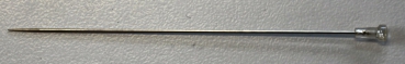 Nadel L