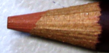 C550 Ginger