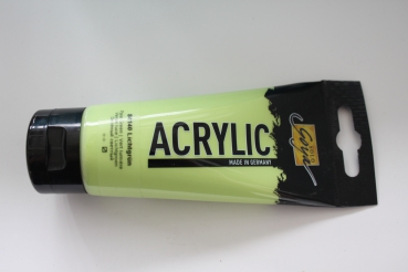 Solo Goya 100ml , 40 pale green (g.P. 1L=42,30€)