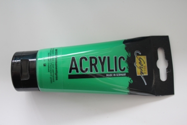 Solo Goya 100ml ,133 Permanentgreen (g.P. 1L=42,30€)