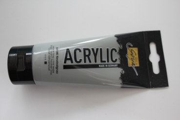 Solo Goya 100ml , 46 neutral gray (g.P. 1L=42,30€)