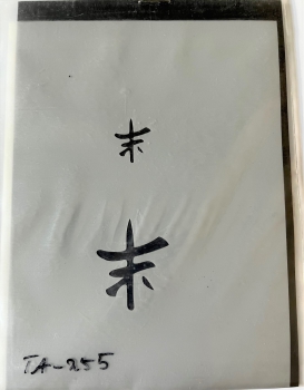 Airbrush- Schablone TA-255 "Chinesische Zeichen" 10,5x14,5 cm