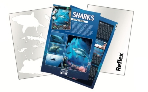 Step by Step  Sharks