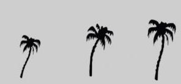 Airbrush stencil "3 palm trees