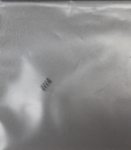 Feder für Ventil Evo,Infinity,ultra,+Hansa