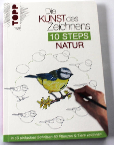 Die Kunst des Zeichnens 10 Steps Natur